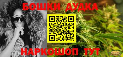 ГАЛЛЮЦИНОГЕННЫЕ ГРИБЫ Новокубанск